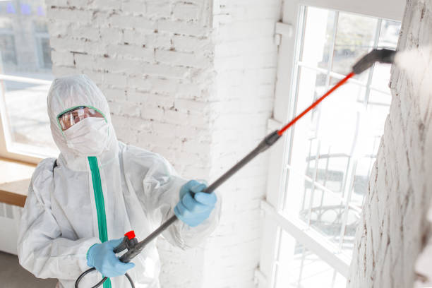 Best Commercial Mold Inspection  in Ripley, WV
