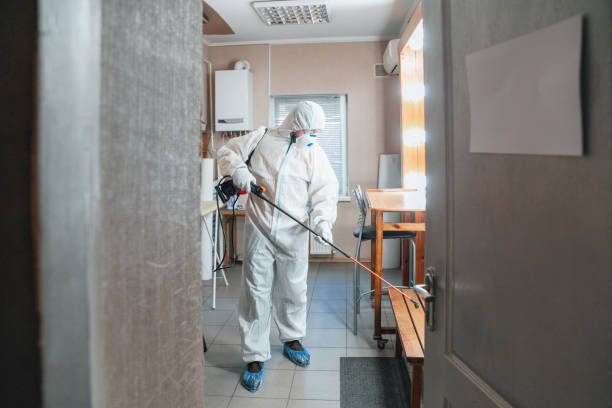 Best Post-Construction Mold Inspection  in Ripley, WV