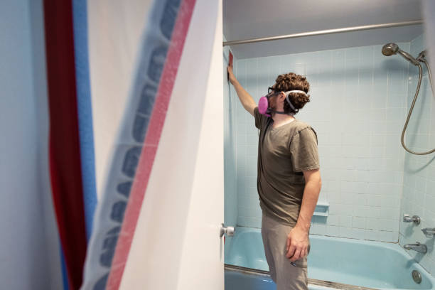 Best Indoor Air Quality Assessment  in Ripley, WV