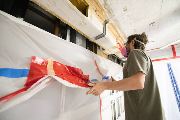 Best Asbestos and Lead Testing During Mold Inspection  in Ripley, WV
